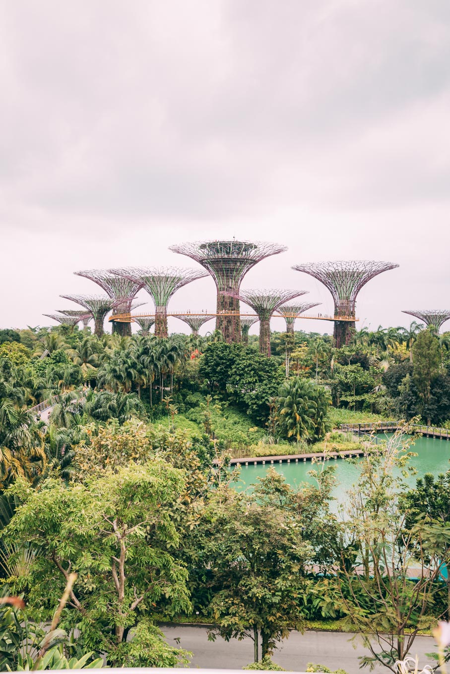 Travel Diary: Singapore | You Rock My Life Blog