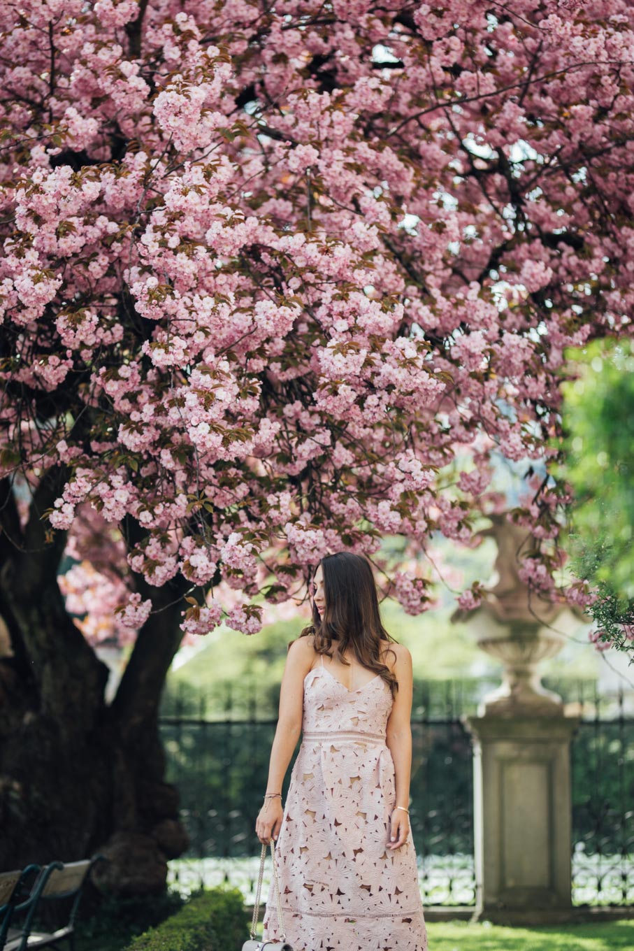 SPLURGE OR STEAL: The perfect wedding guest dress | www.yourockmylife.com