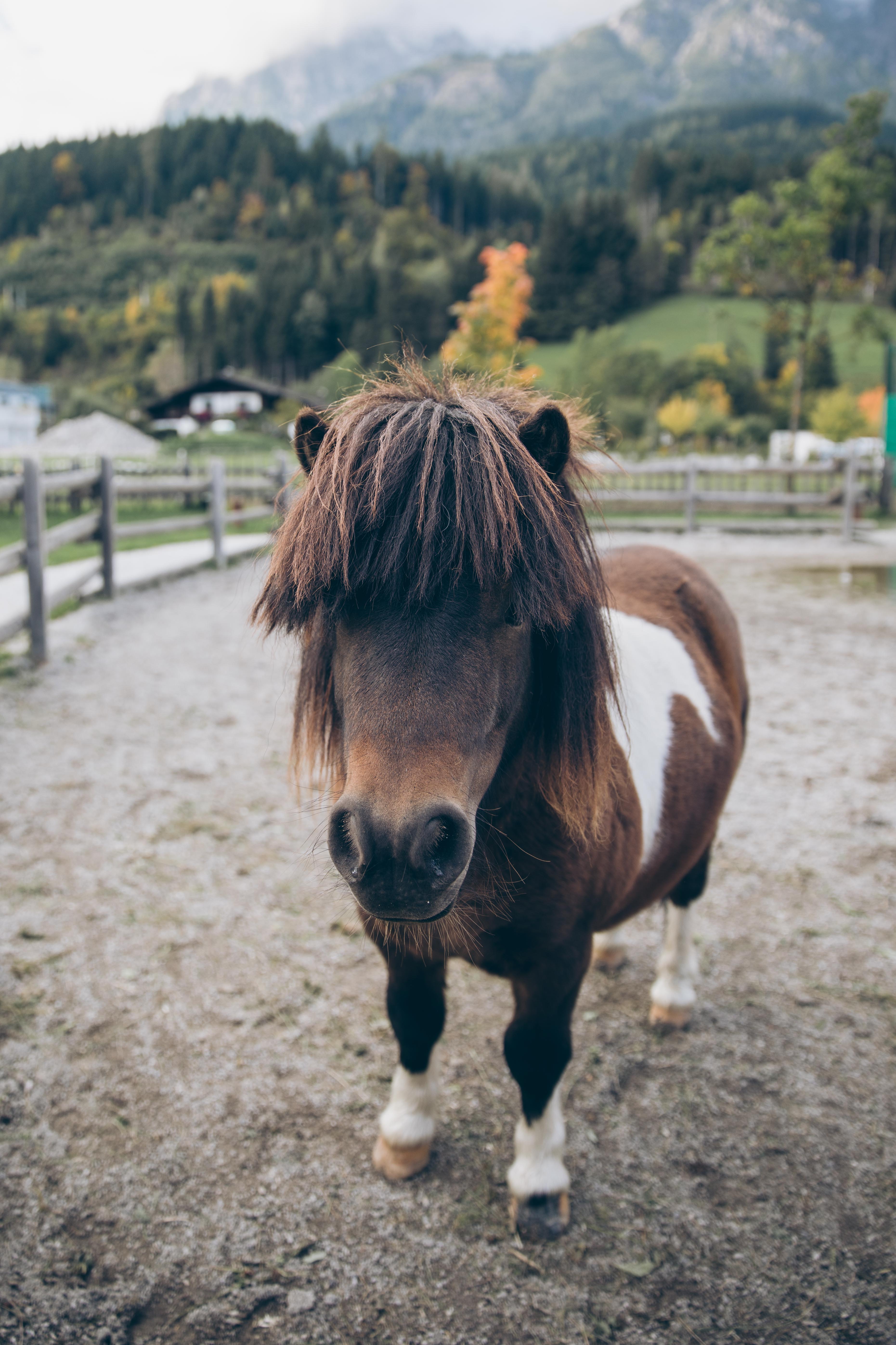 Home Away From Home: Naturhotel Forsthofgut | You rock my life