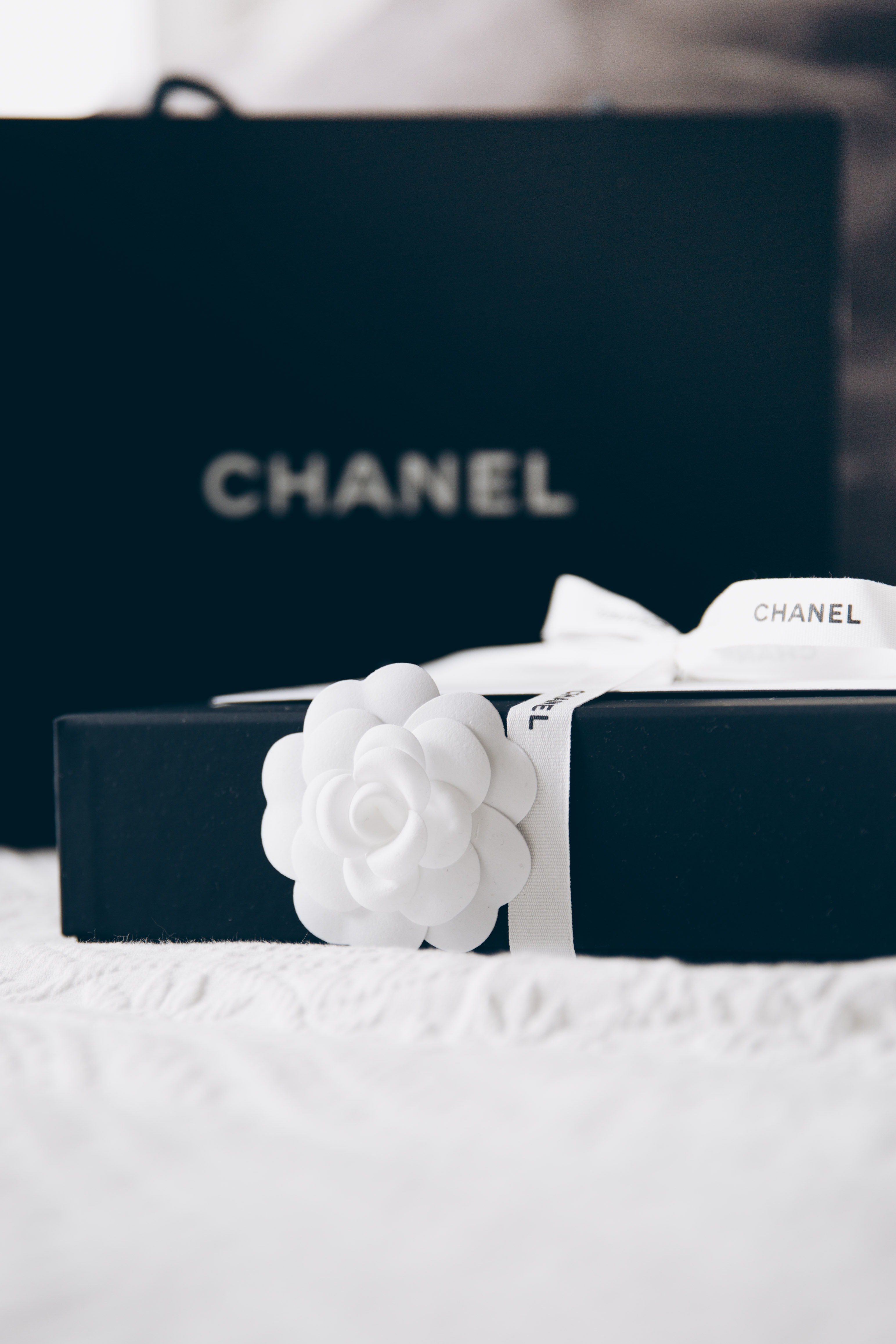 Chanel WOC Review + What Fits Inside – Love, Monnii: A Lifestyle