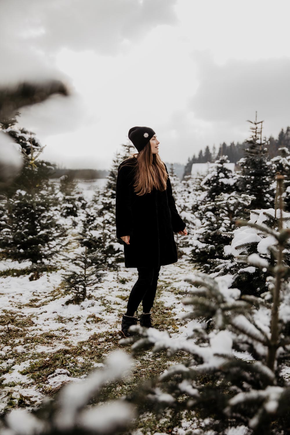 Music: Instrumental Christmas Jazz Playlist - You Rock My Life