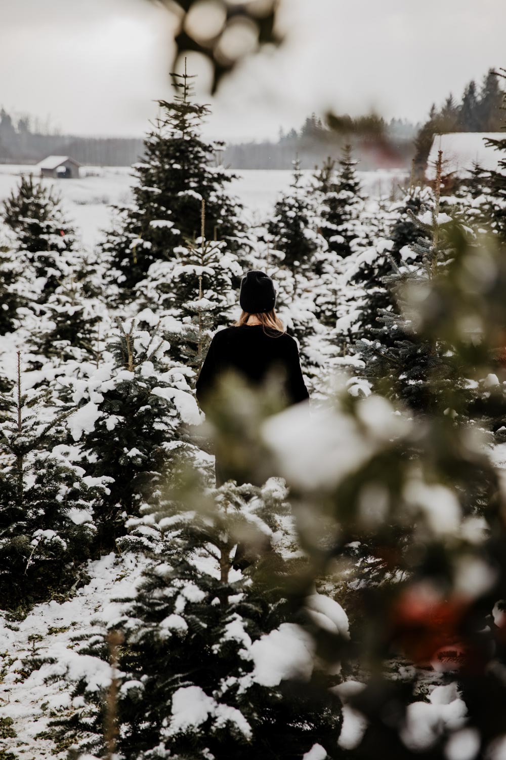 Music: Instrumental Christmas Jazz Playlist - You Rock My Life