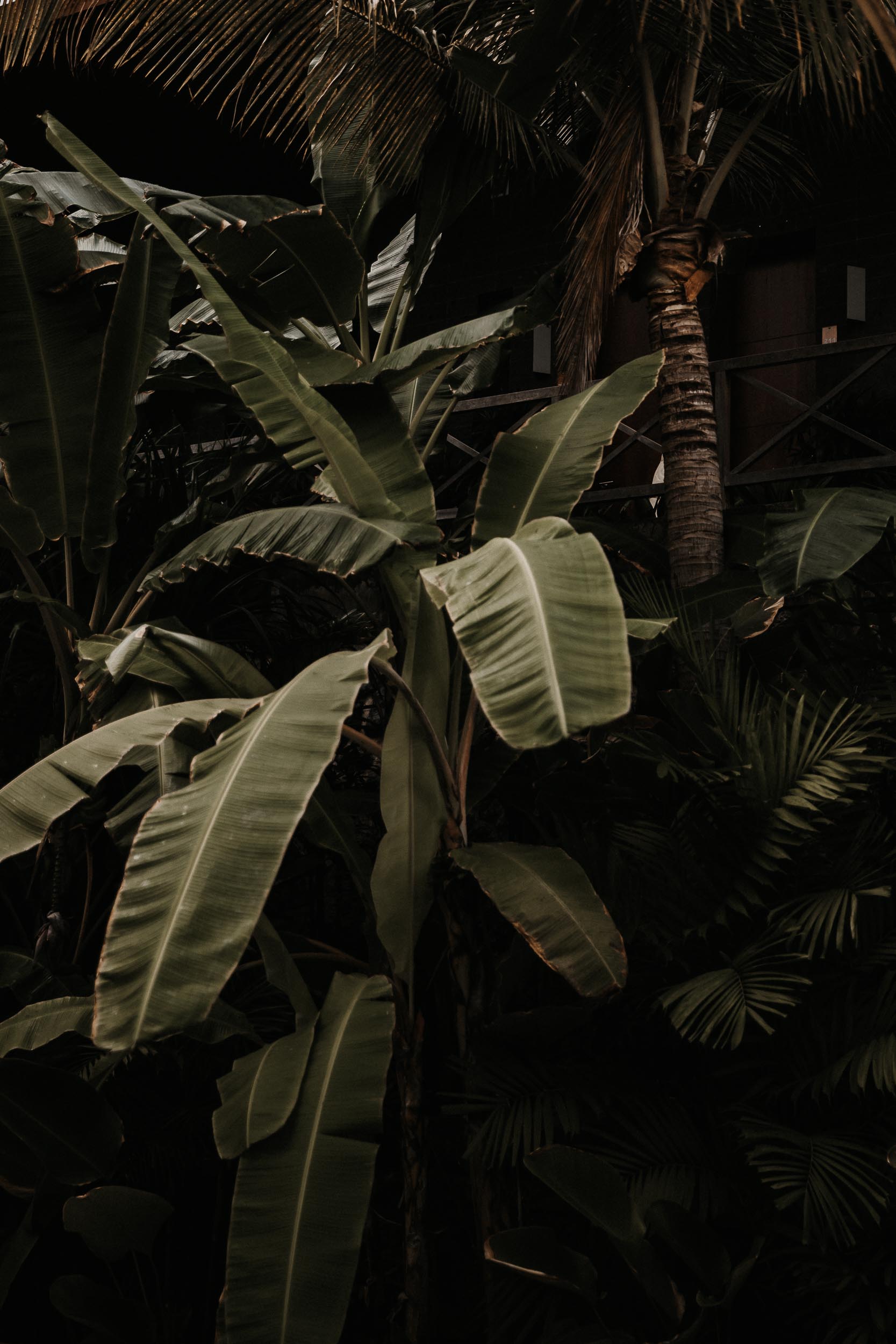 Travel: Bali Blog - YRML | you rock my life | @ninawro @patresinger